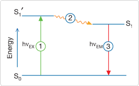 intro-fluorescence-techniques.par.88992.image.275.171.1.s000100-intro-fluorescence-gif intro-fluorescence-techniques.par.88992.image.275.171.1.s000100-intro-fluorescence-gif