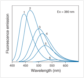 intro-fluorescence-techniques.par.62290.image.275.257.1.s000120-intro-fluorescence-gif intro-fluorescence-techniques.par.62290.image.275.257.1.s000120-intro-fluorescence-gif