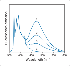 intro-fluorescence-techniques.par.81892.image.275.257.1.s000234-intro-fluorescence-gif intro-fluorescence-techniques.par.81892.image.275.257.1.s000234-intro-fluorescence-gif