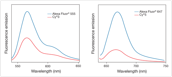 labeling-oligos-nucleic-acids.par.3529.image.559.251.1.s001911-alexa-fluor-dye-gif labeling-oligos-nucleic-acids.par.3529.image.559.251.1.s001911-alexa-fluor-dye-gif