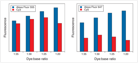 labeling-oligos-nucleic-acids.par.47225.image.559.255.1.s001885-alexa-fluor-gif labeling-oligos-nucleic-acids.par.47225.image.559.255.1.s001885-alexa-fluor-gif