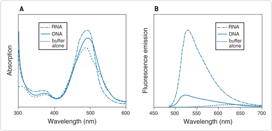 nucleic-acid-stains.par.57389.image.559.270.1.s002209-s002210-absorption-fluorescence-emission-gif nucleic-acid-stains.par.57389.image.559.270.1.s002209-s002210-absorption-fluorescence-emission-gif