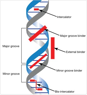 nucleic-acid-stains.par.70083.image.360.392.1.s007762-gif nucleic-acid-stains.par.70083.image.360.392.1.s007762-gif