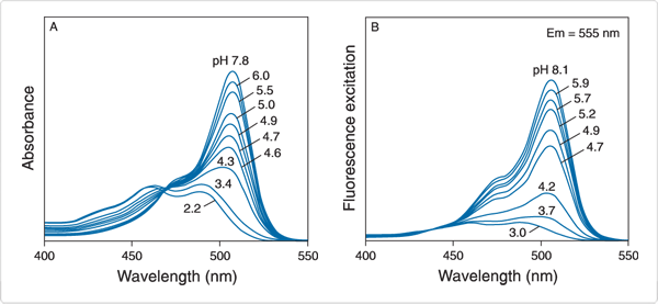 probes-acidic-ph.par.63663.image.600.277.1.s000311-514-carboxylic-acid-gif probes-acidic-ph.par.63663.image.600.277.1.s000311-514-carboxylic-acid-gif