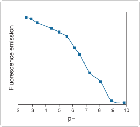 probes-acidic-ph.par.78560.image.275.250.1.s007825-phrodo-gif probes-acidic-ph.par.78560.image.275.250.1.s007825-phrodo-gif