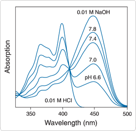 probes-near-neutral-ph.par.9060.image.275.264.1.s000323-ph-absorption-spectra-gif probes-near-neutral-ph.par.9060.image.275.264.1.s000323-ph-absorption-spectra-gif