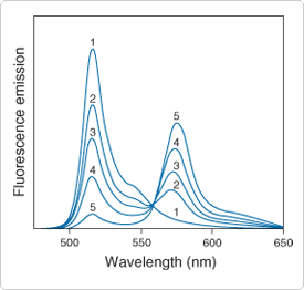 fatty-acid-analogs-phospholipids.par.52888.image.275.262.1.s000233-fluorescence-resonance-gif fatty-acid-analogs-phospholipids.par.52888.image.275.262.1.s000233-fluorescence-resonance-gif