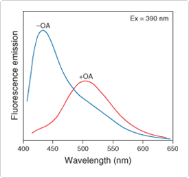 fatty-acid-analogs-phospholipids.par.2785.image.275.260.1.s000282-spectral-shift-adifab-gif fatty-acid-analogs-phospholipids.par.2785.image.275.260.1.s000282-spectral-shift-adifab-gif
