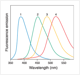 other-nonpolar-amphiphilic-probes.par.82604.image.275.258.1.s000237-normalized-emission-gif other-nonpolar-amphiphilic-probes.par.82604.image.275.258.1.s000237-normalized-emission-gif