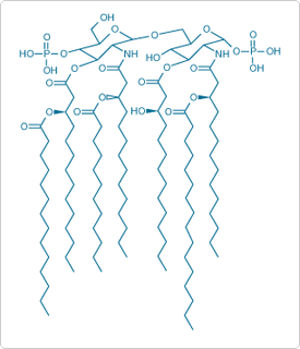 sphingolipids-steroids-lipopolysaccharides.par.14316.image.275.320.1.s001203-lipid-a-component-gif sphingolipids-steroids-lipopolysaccharides.par.14316.image.275.320.1.s001203-lipid-a-component-gif