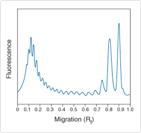sphingolipids-steroids-lipopolysaccharides.par.65927.image.275.260.1.s001623-characterization-lipopolysaccharides-gif sphingolipids-steroids-lipopolysaccharides.par.65927.image.275.260.1.s001623-characterization-lipopolysaccharides-gif