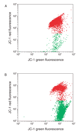 slow-response-probes.par.14379.image.275.457.1.s002435-flow-cytometric-gif slow-response-probes.par.14379.image.275.457.1.s002435-flow-cytometric-gif