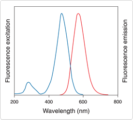 detection-total-protein-profile.par.46681.image.275.248.1.s002172-coomassie-fluor-gif detection-total-protein-profile.par.46681.image.275.248.1.s002172-coomassie-fluor-gif