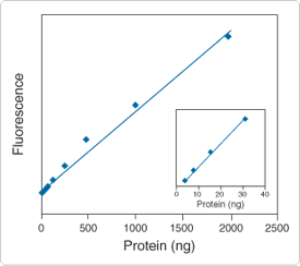detection-total-protein-profile.par.10797.image.275.244.1.s001716-linearity-sypro-gif detection-total-protein-profile.par.10797.image.275.244.1.s001716-linearity-sypro-gif