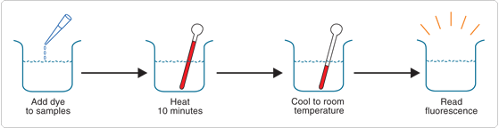 quantitation-selective-purification.par.51811.image.559.144.1.s001477-nanoorange-protein-quantitation-kit-gif quantitation-selective-purification.par.51811.image.559.144.1.s001477-nanoorange-protein-quantitation-kit-gif