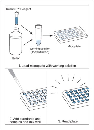 quantitation-selective-purification.par.80105.image.360.500.1.s002326-quart-it-assay-kits-gif quantitation-selective-purification.par.80105.image.360.500.1.s002326-quart-it-assay-kits-gif