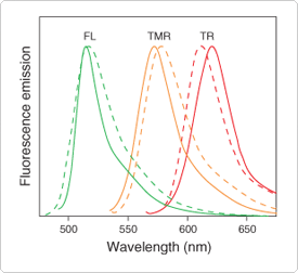 thiol-reactive-probes-visible-light.par.12296.image.275.252.1.s000111-normalized-fluorescence-emission-gif thiol-reactive-probes-visible-light.par.12296.image.275.252.1.s000111-normalized-fluorescence-emission-gif