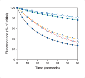 thiol-reactive-probes-visible-light.par.92173.image.275.252.1.s000113-comparison-of-photostability-gif thiol-reactive-probes-visible-light.par.92173.image.275.252.1.s000113-comparison-of-photostability-gif