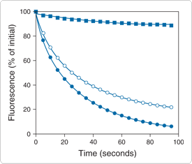enzyme-labeled-fluorescence.par.1452.image.275.235.1.s000143-photostability-gif enzyme-labeled-fluorescence.par.1452.image.275.235.1.s000143-photostability-gif