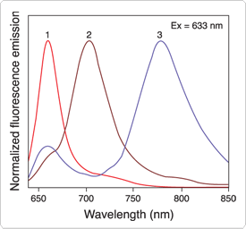 phycobiliproteins.par.18310.image.275.256.1.s001745-allophycocyanin-gif phycobiliproteins.par.18310.image.275.256.1.s001745-allophycocyanin-gif