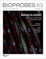 BioProbes 63 cover BioProbes 63 cover