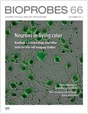 BioProbes 66 BioProbes 66