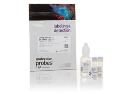 BacLight Bacterial Viability Kit BacLight Bacterial Viability Kit