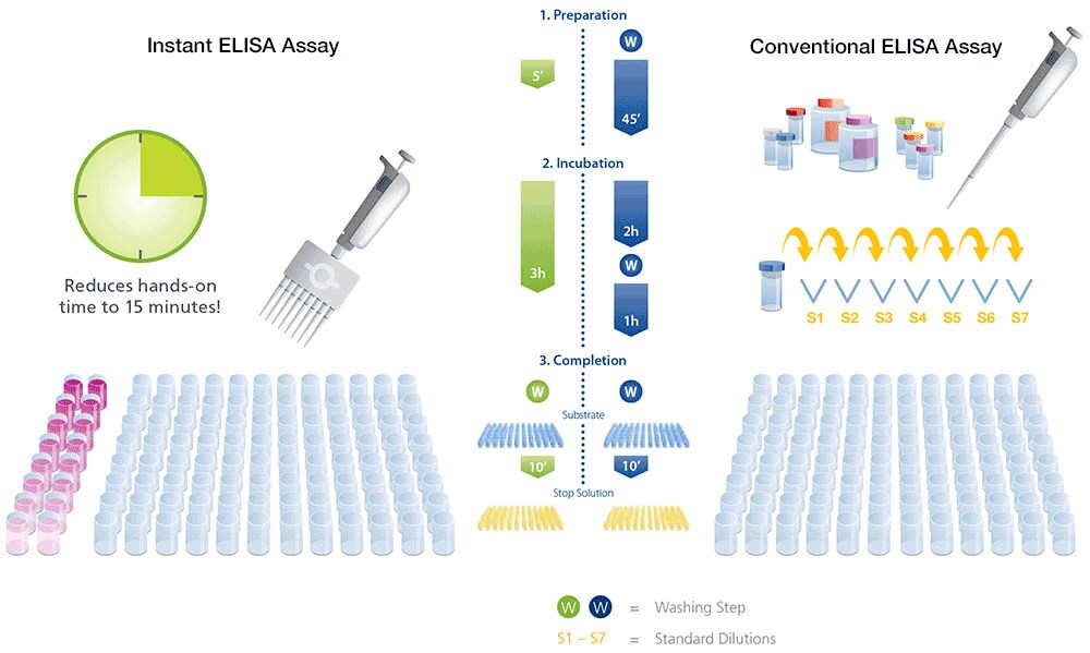 Overview of ELISA | Thermo Fisher Scientific - ZA